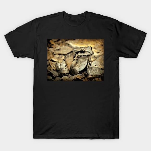 Portrait of a Mountain Chicken Frog T-Shirt by AlexaZari